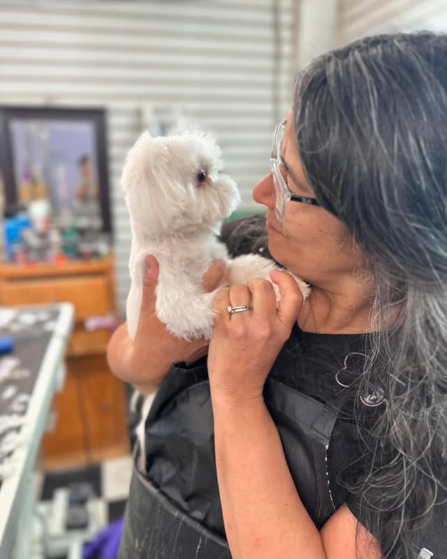 One of the groomers